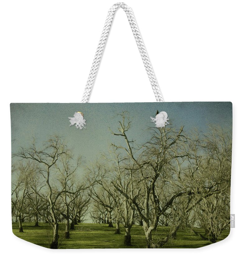 Winter Orchard Weekender Tote Bag featuring the photograph Sleeping Orchard by Kandy Hurley