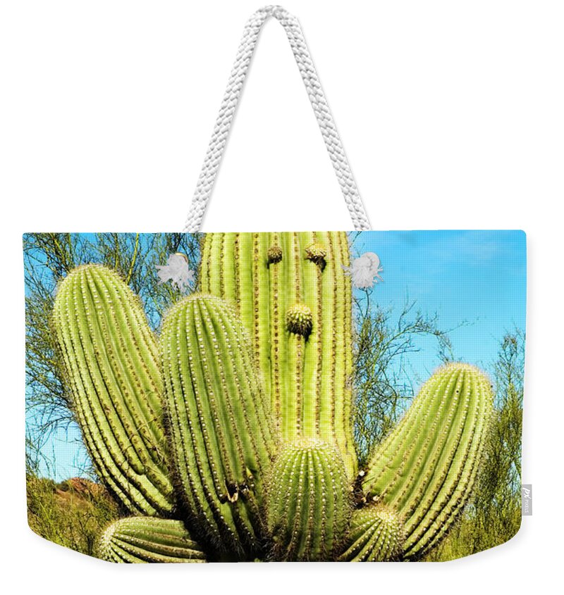 Smiling Saguaro Weekender Tote Bag featuring the photograph Smiling Saguaro by Mae Wertz