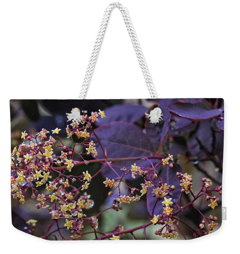 Foliage Weekender Tote Bag featuring the photograph Smoke Bush Flowers 1 by Patricia Youngquist