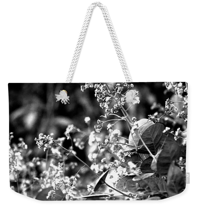 Blossoms Weekender Tote Bag featuring the photograph Smoke Tree Blossoms by Steve Ember