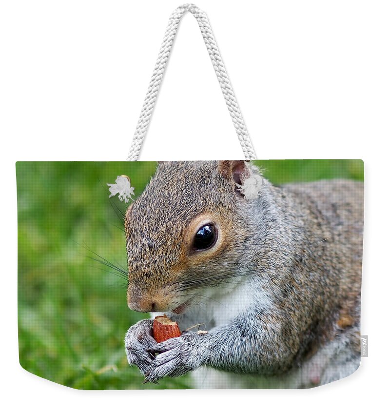 Squirrel Weekender Tote Bag featuring the photograph Snack Break for Squirrel by Rona Black