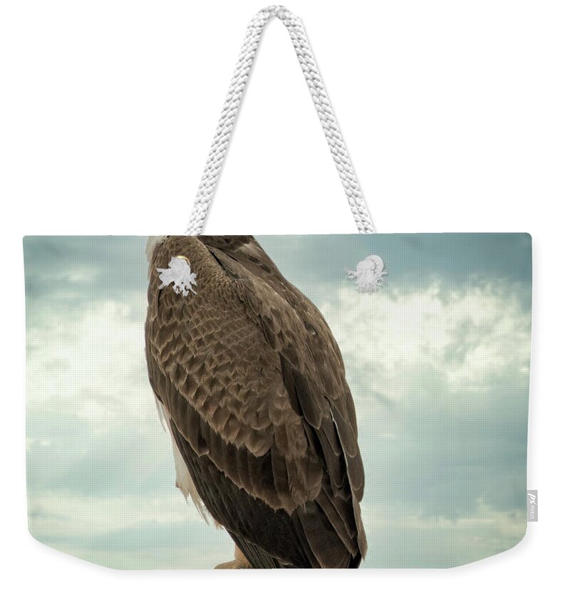 Snake Eagle Weekender Tote Bag featuring the photograph Snake Eagle by Roberta Kayne