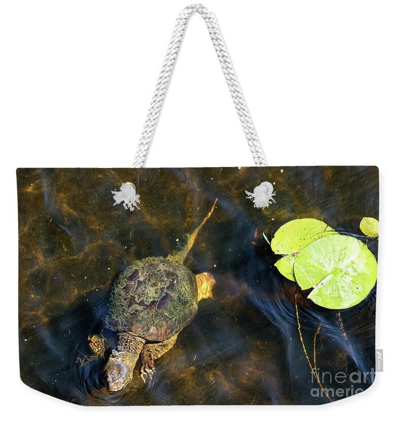 Snapping Turtle Weekender Tote Bag featuring the photograph Snapper in the Minnesota River by Natural Focal Point Photography