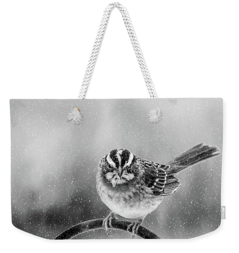 Bird Weekender Tote Bag featuring the photograph Snow Again by Cathy Kovarik