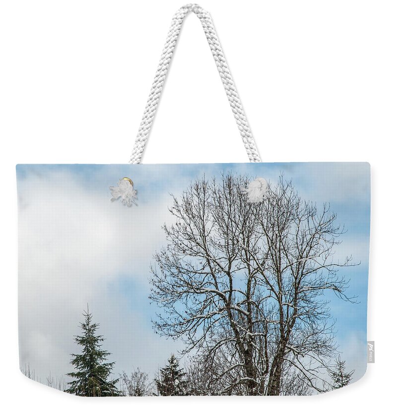 Trees In Snow Weekender Tote Bag featuring the photograph Snow Beauty by Rob Hemphill