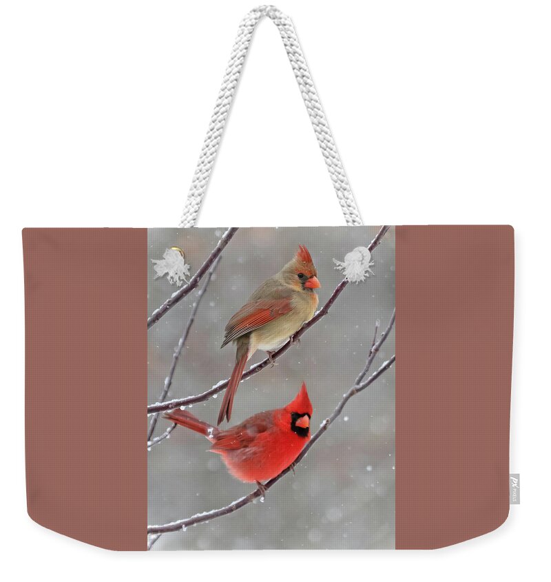 Snow Weekender Tote Bag featuring the photograph Snow Day by Mindy Musick King