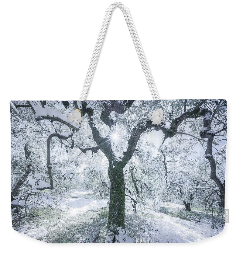 Olive Weekender Tote Bag featuring the photograph Snow in Tuscany, olive trees in the grove. by Stefano Orazzini
