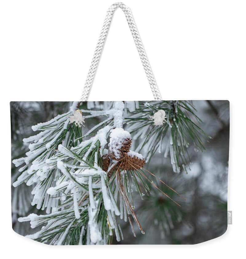 Snow Weekender Tote Bag featuring the photograph Snow on the Pines by Debbie Karnes