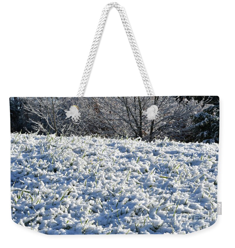 Snow Weekender Tote Bag featuring the photograph Snow by Phil Perkins