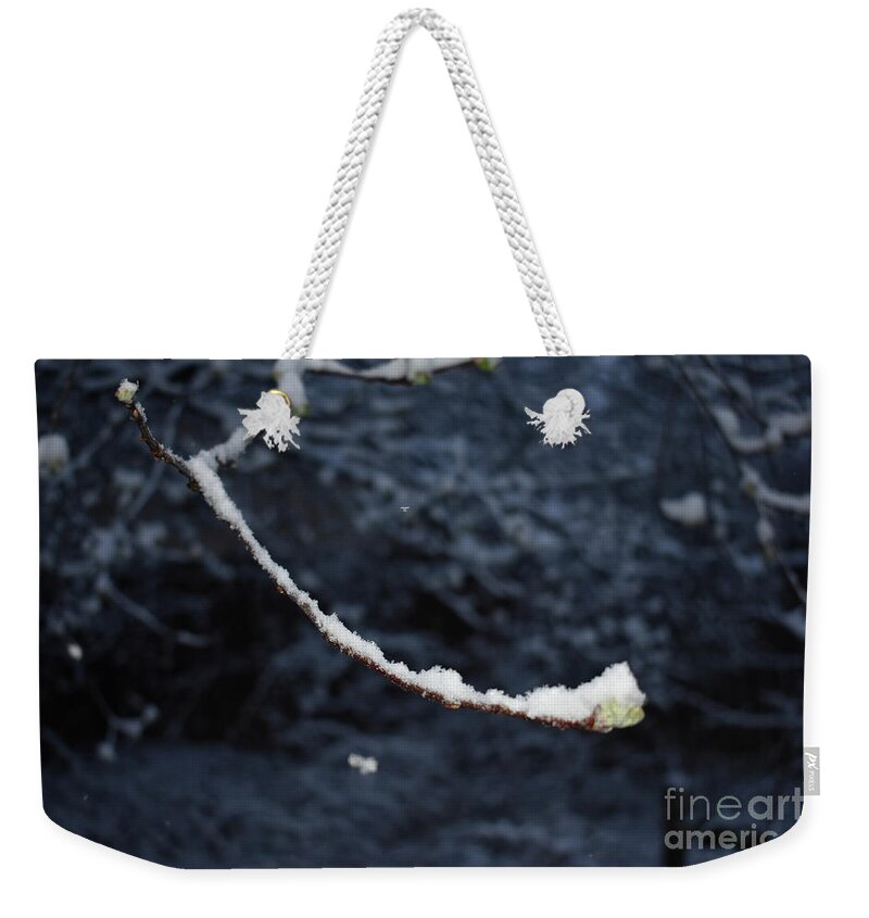 Single Branch Weekender Tote Bag featuring the painting Snow Smile by Anne Cameron Cutri