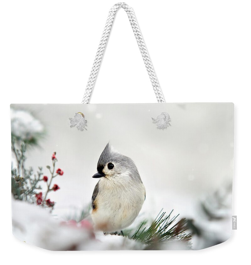 Birds Weekender Tote Bag featuring the photograph Snow White Tufted Titmouse by Christina Rollo