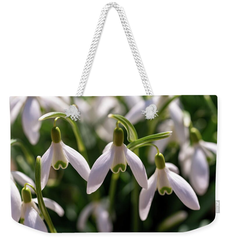 Snowdrop Weekender Tote Bag featuring the photograph Snowdrops by Arthur Oleary