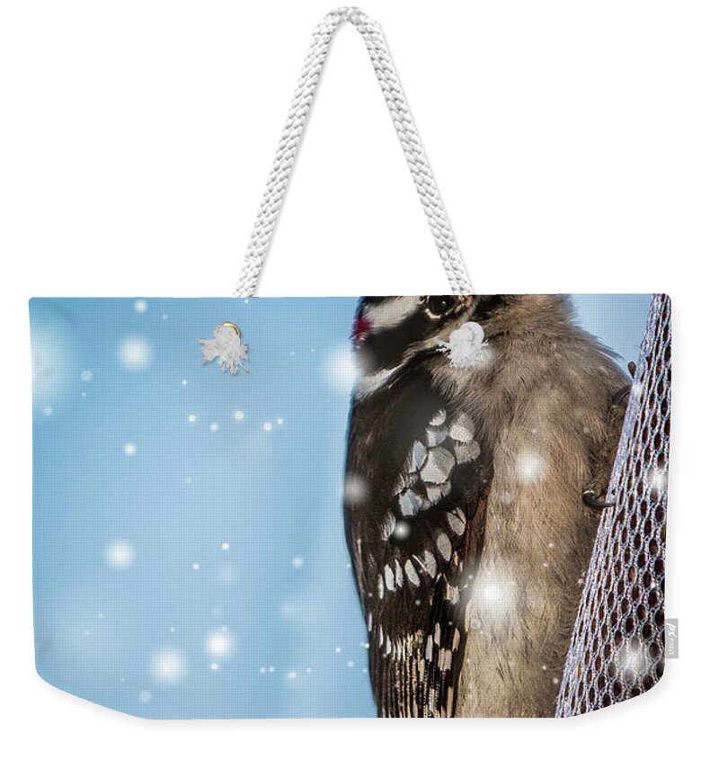 Woodpecker Weekender Tote Bag featuring the photograph Snowy Downy Woodpecker by Patti Deters