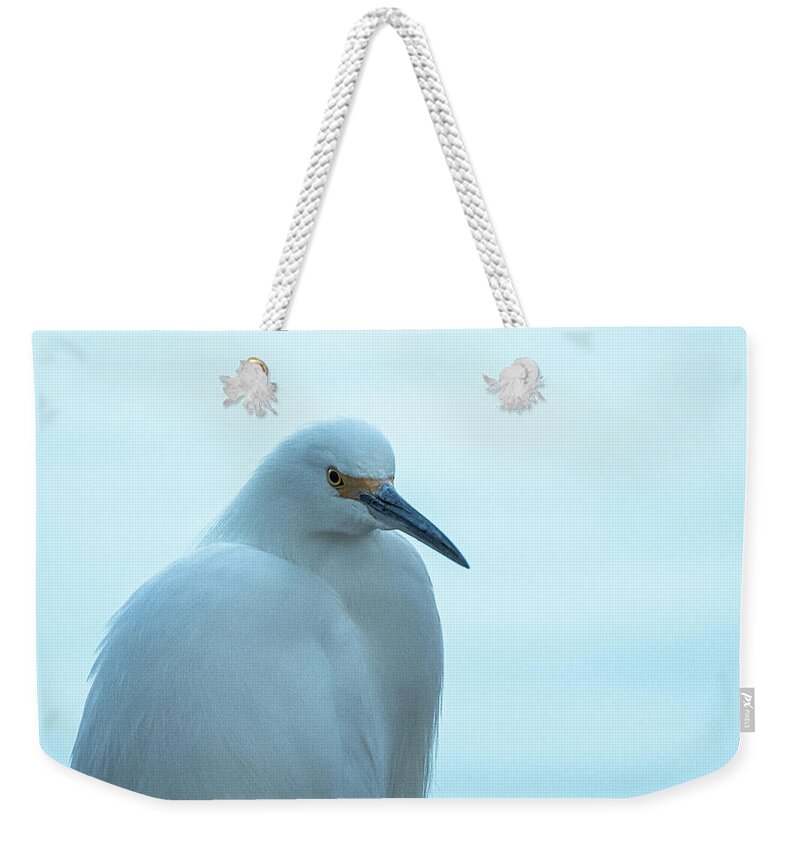 Snowy Egret Weekender Tote Bag featuring the photograph Snowy Egret 4831-011720-2 by Tam Ryan