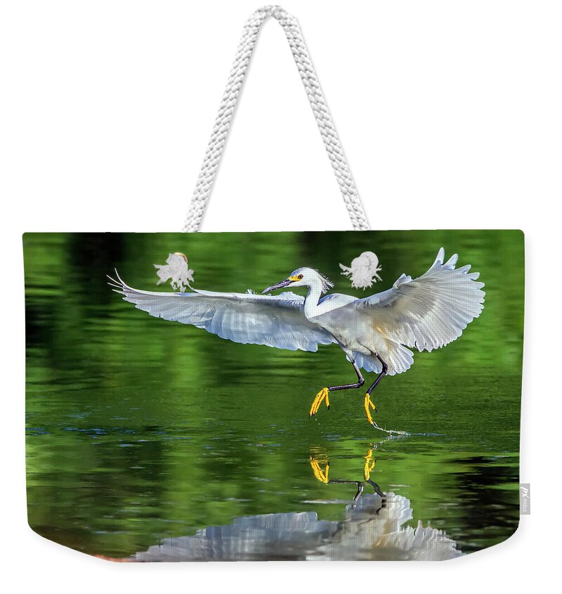 Snowy Egret Weekender Tote Bag featuring the photograph Snowy Egret 6693-061419-2 by Tam Ryan