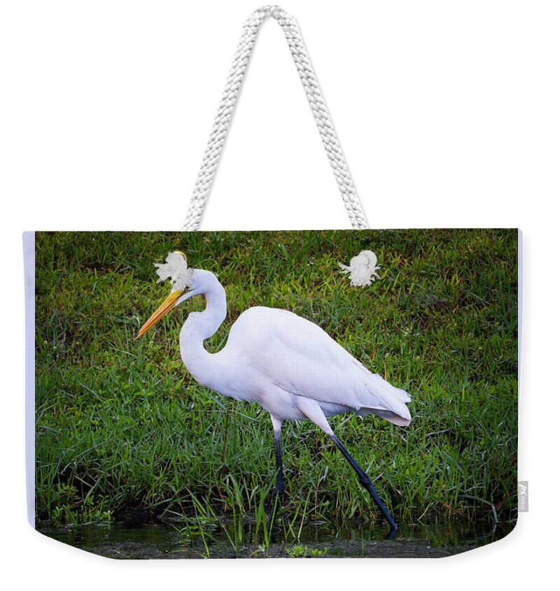 Birds Weekender Tote Bag featuring the photograph Snowy Egret by Larry Marshall