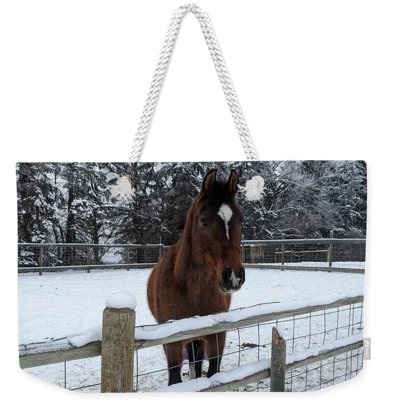 Horse Weekender Tote Bag featuring the photograph Snowy horse by Lisa Mutch