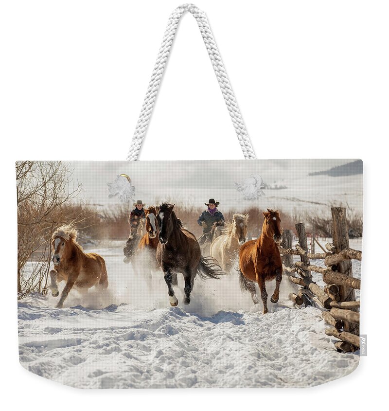 Horses Weekender Tote Bag featuring the photograph Snowy Ranch Horse Run by Dawn Key