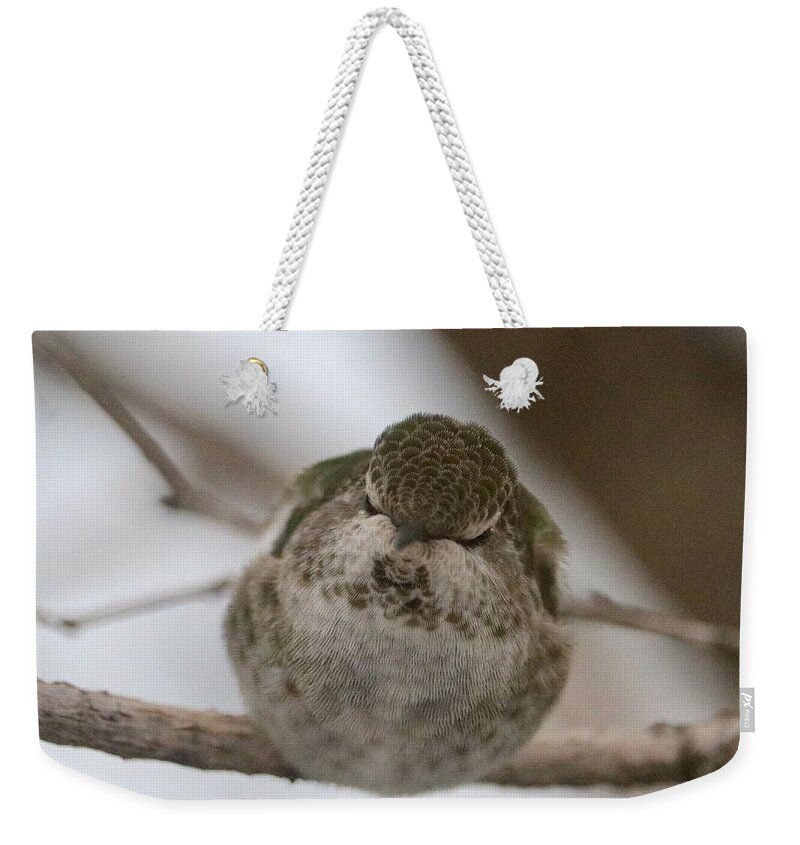 Hummingbird Weekender Tote Bag featuring the photograph Snuggly Sleeping Hummingbird by Carol Groenen