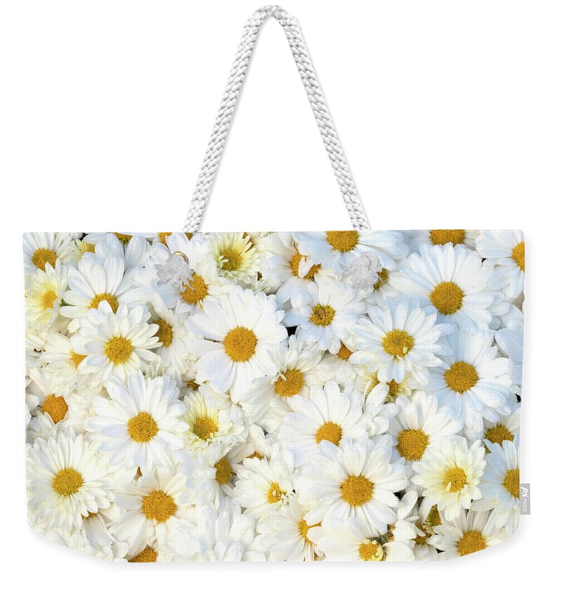 So Many Daisies Weekender Tote Bag featuring the photograph So Many Daisies by Patty Colabuono