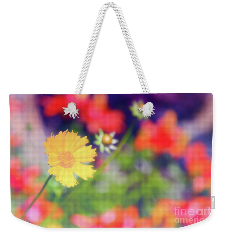 Soft Weekender Tote Bag featuring the photograph Soft and Light 21 by Becqi Sherman