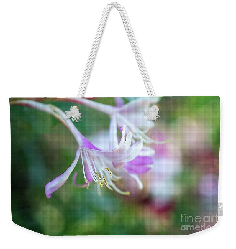 Honeysickle Weekender Tote Bag featuring the photograph Soft Honeysuckle Beauty by Amy Dundon