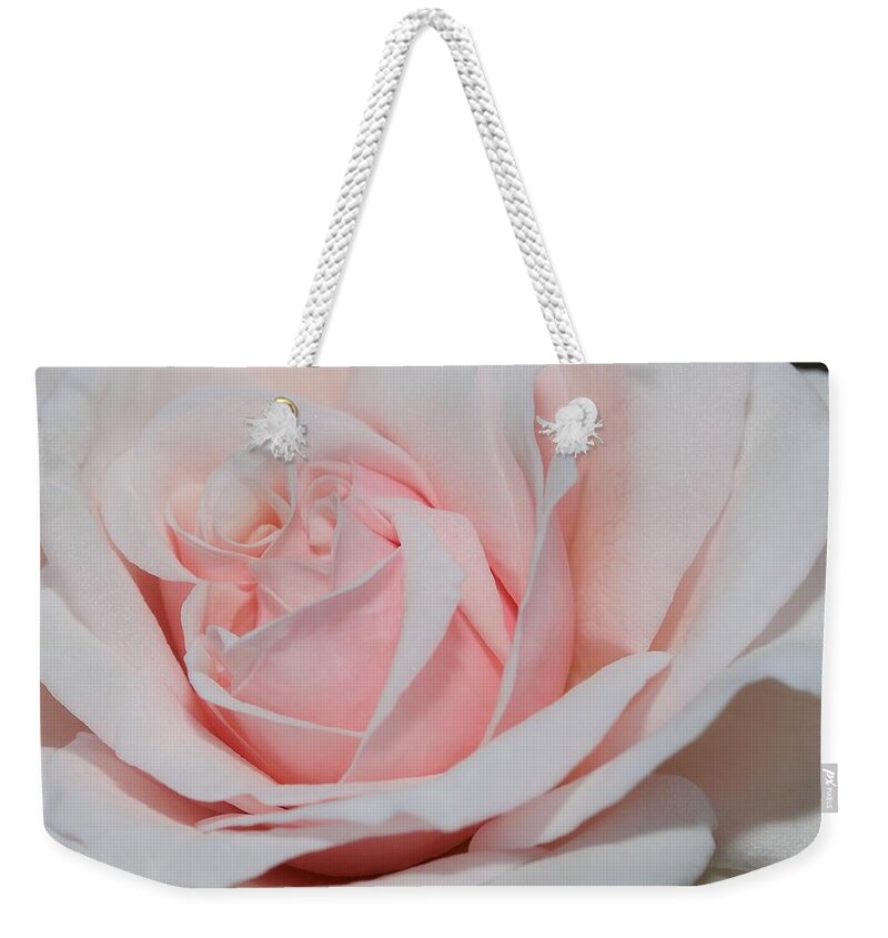 Rose Weekender Tote Bag featuring the photograph Soft Pink by Mingming Jiang