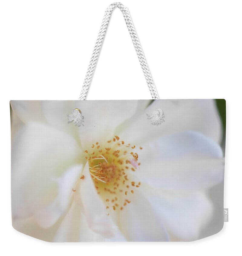 Flower Weekender Tote Bag featuring the photograph Soft White Beauty by Teresa Wilson