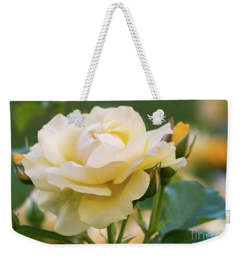 Rose Weekender Tote Bag featuring the photograph Soft Yellow Rose by Lorraine Cosgrove