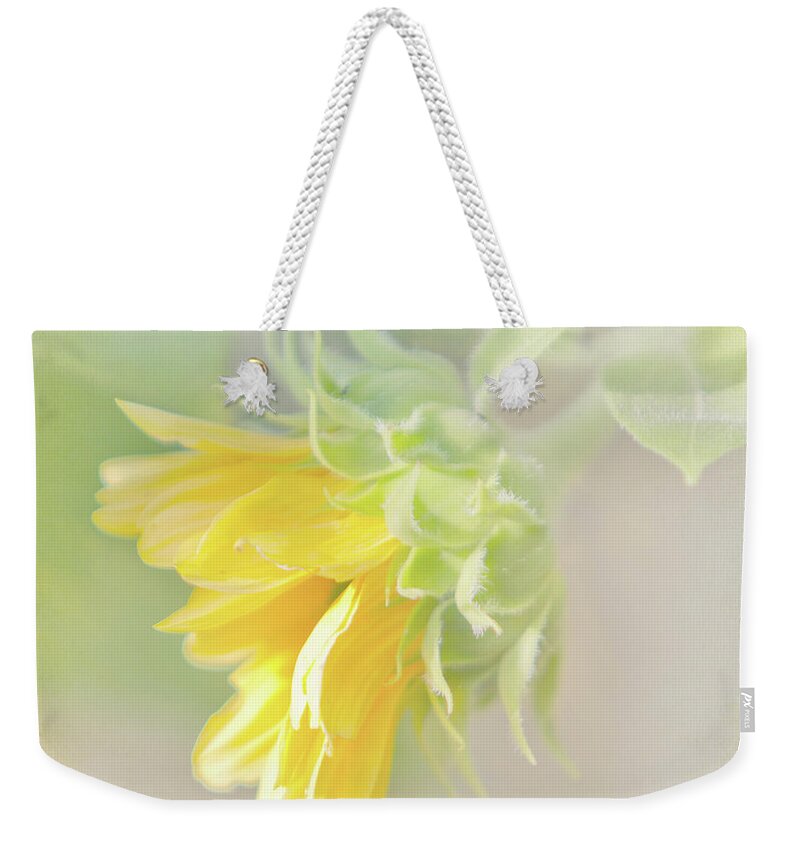 Sunflower Weekender Tote Bag featuring the photograph Soft Yellow Sunflower Just Starting to Bloom by Patti Deters