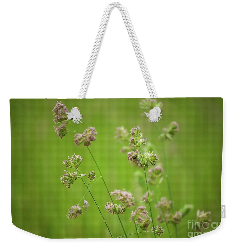 Field Weekender Tote Bag featuring the photograph Softened Fields Floral / Botanical / Nature Photograph by PIPA Fine Art - Simply Solid