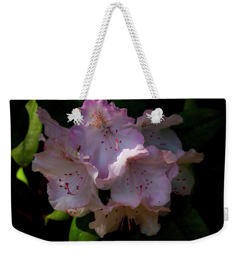 Olympia Weekender Tote Bag featuring the photograph Softly Pink by Doug Scrima