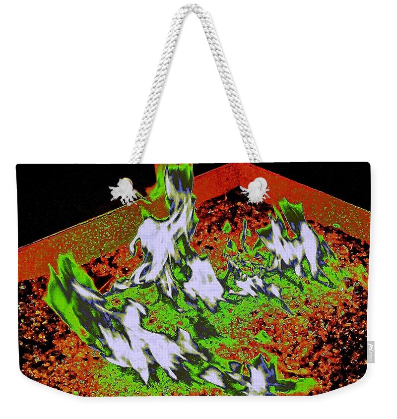 Fire Weekender Tote Bag featuring the photograph Solar Fire by Andrew Lawrence