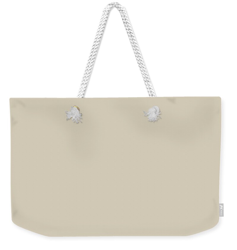 Solid Weekender Tote Bag featuring the digital art Solid Tan Color by Delynn Addams