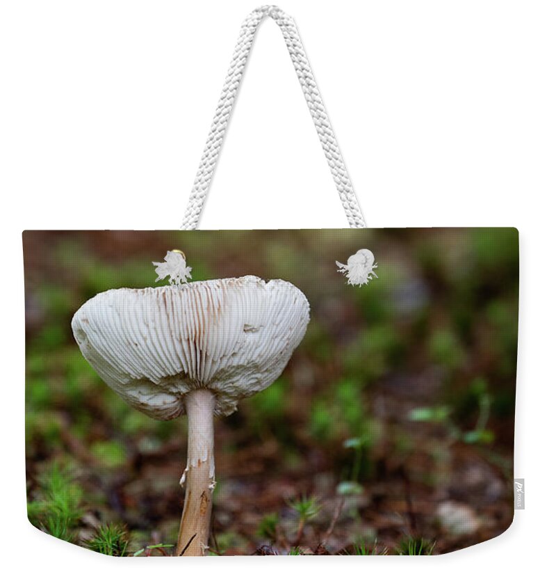 Mushroom Weekender Tote Bag featuring the photograph Solo Shroom by Denise Kopko