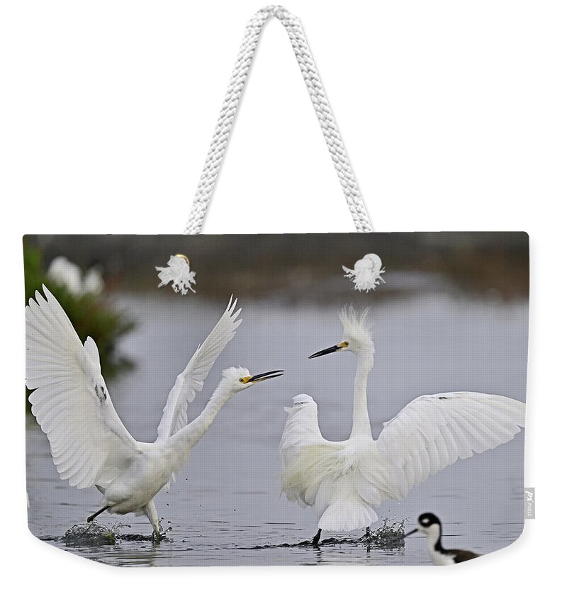 Snowy Egret Weekender Tote Bag featuring the photograph Some Snowy Arguments by Amazing Action Photo Video