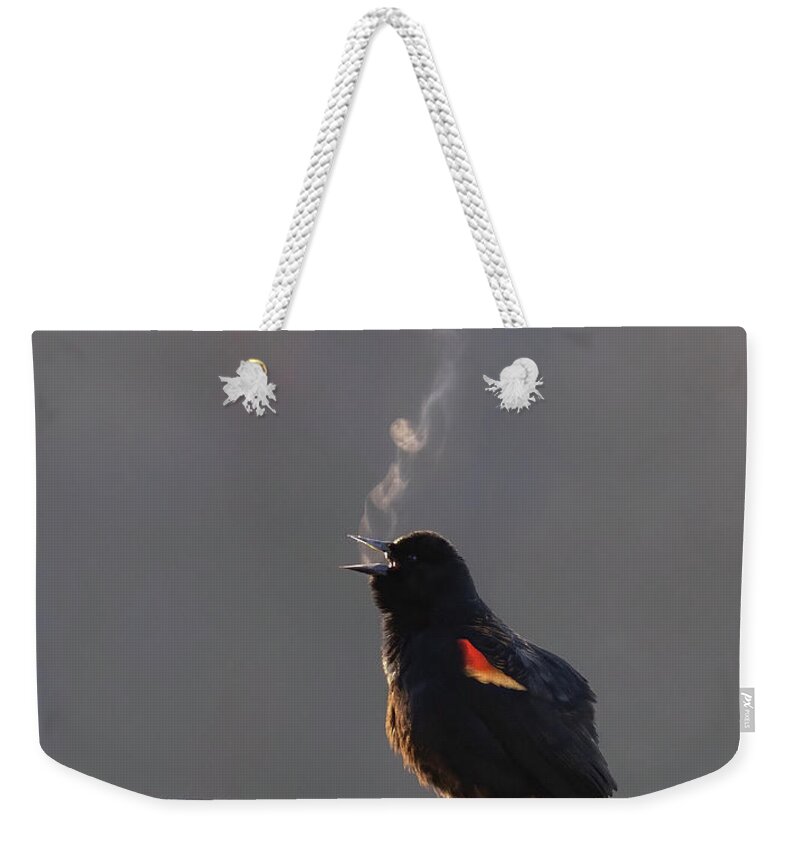 Bird Weekender Tote Bag featuring the photograph Song Exhale by Art Cole