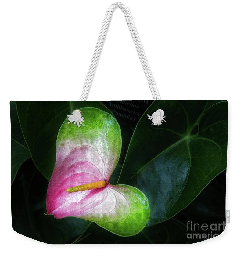 Conservatory Weekender Tote Bag featuring the photograph Song for a Flower by Marilyn Cornwell