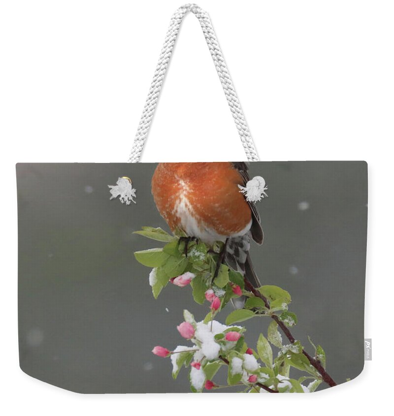  Weekender Tote Bag featuring the photograph Song of Hope by Rob Blair