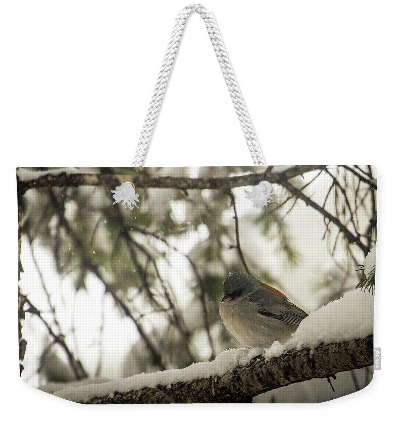 Wildlife Weekender Tote Bag featuring the photograph Songbird in Winter by Laura Putman