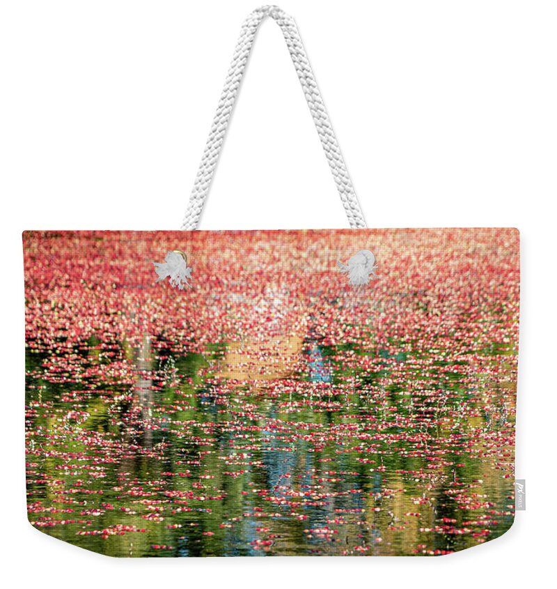 Cranberries Weekender Tote Bag featuring the photograph South Jersey Cranberry Bogs by GeeLeesa