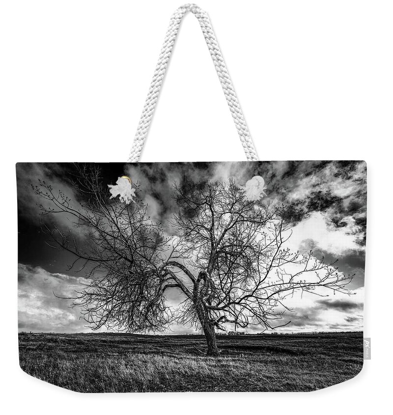 Tree Weekender Tote Bag featuring the photograph South Monochrome by Darcy Dietrich