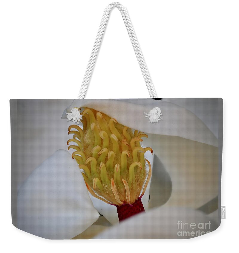 Magnolia Weekender Tote Bag featuring the photograph Southern Magnolia in the Evening by L Bosco