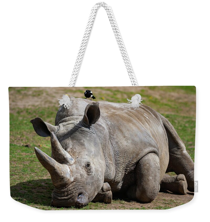 Southern Weekender Tote Bag featuring the photograph Southern White Rhinoceros by Artur Bogacki