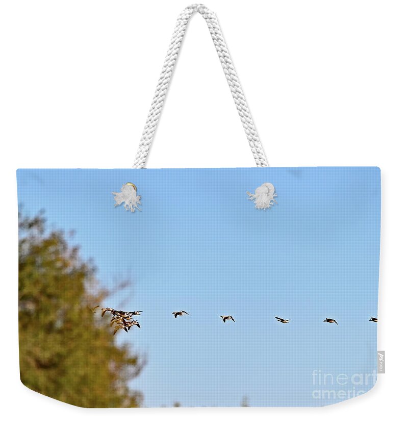 Waterfowl Weekender Tote Bag featuring the photograph Space Jam - Snow Geese by Amazing Action Photo Video