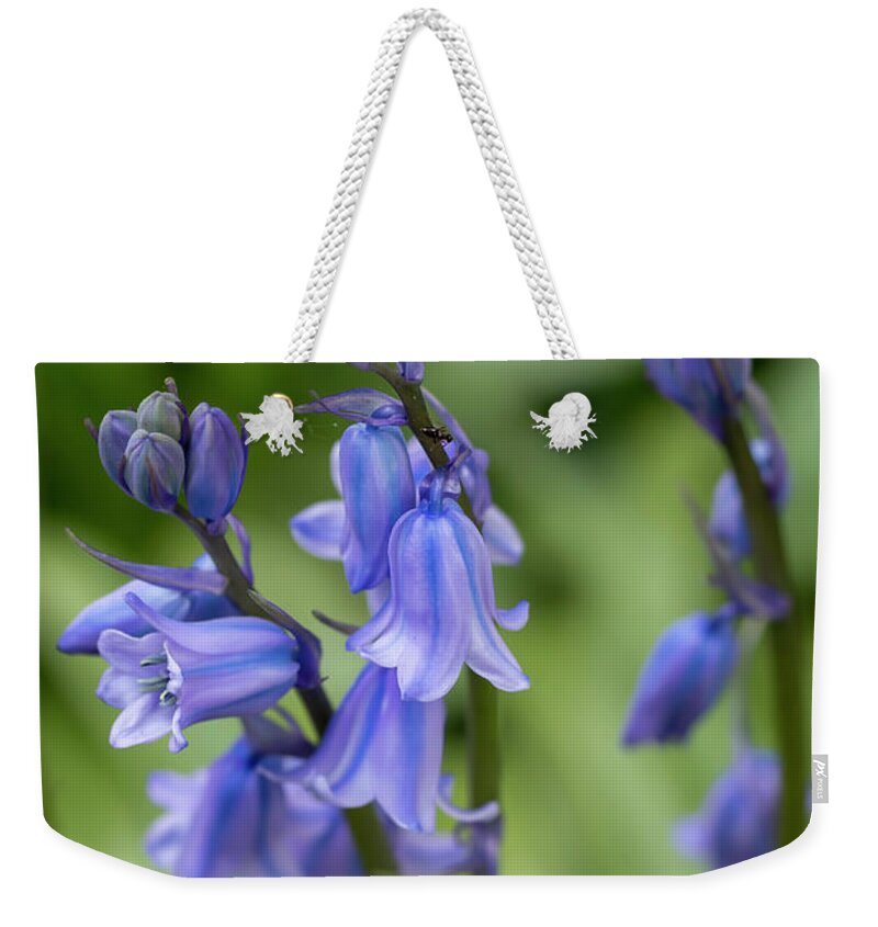 Flower Weekender Tote Bag featuring the photograph Spanish Bluebells 3 by Dawn Cavalieri