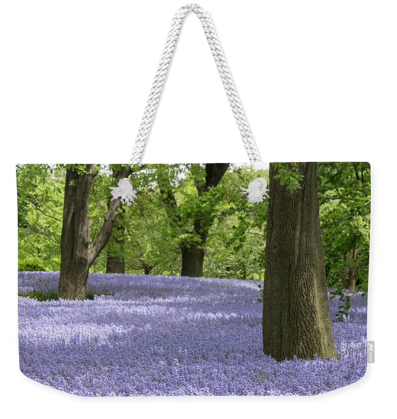 Flower Weekender Tote Bag featuring the photograph Spanish Bluebells 8 by Dawn Cavalieri