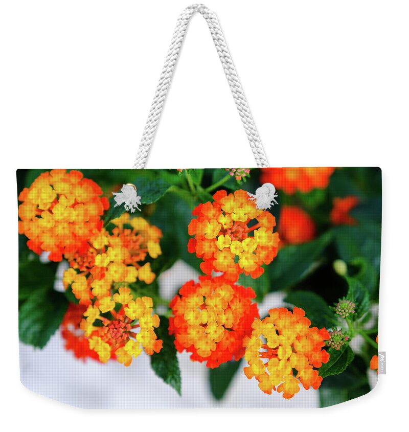 Spanish Flag Weekender Tote Bag featuring the photograph Spanish flag by Gary Browne