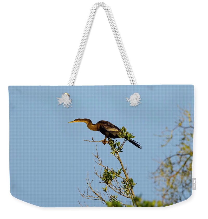R5-2633 Weekender Tote Bag featuring the photograph Speedster by Gordon Elwell