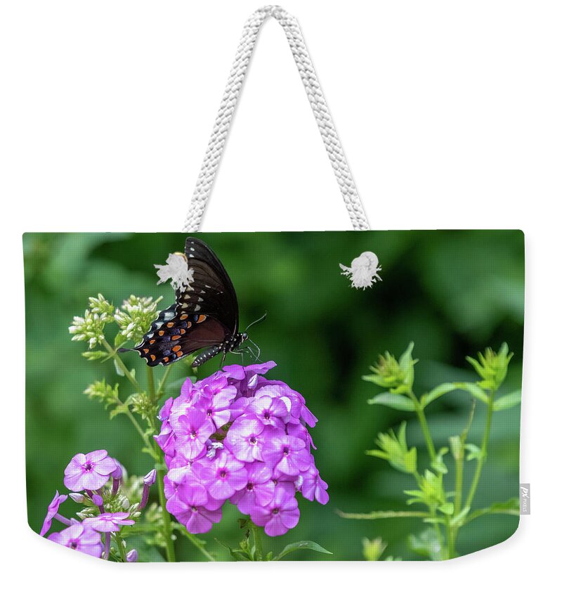 Lenoir Preserve Weekender Tote Bag featuring the photograph Spicebush Swallowtail by Kevin Suttlehan
